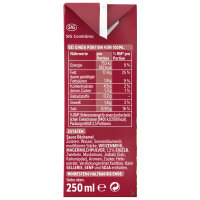 Thomy Les Bechamel-Sauce VPE (12x250ml Packung)