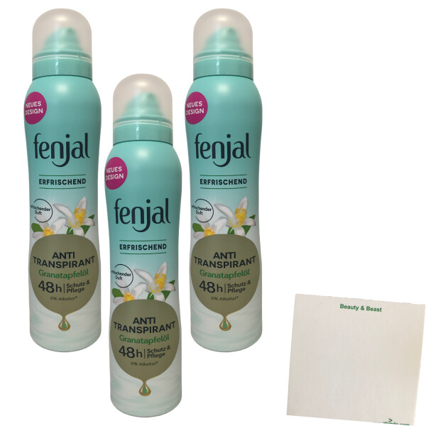 Fenjal Deo Spray Anti Transpirant 48h Schutz & Pflege 3er Pack (3x150ml Spray) + usy Block