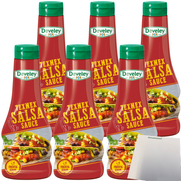 Develey Texmex Salsa Sauce 6er Pack (6x250ml Flasche) + usy Block