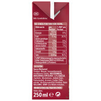 Thomy Les Bechamel-Sauce 3er Pack (3x250ml Packung) + usy Block